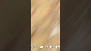 Excitedly describing an octopus taking a crap [upl. by Valery59]