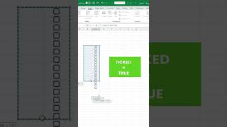 Excel Checkboxes [upl. by Agatha]