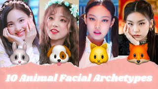 What ANIMAL Face Type Are You  Animal Face Types Explained [upl. by Cirded213]