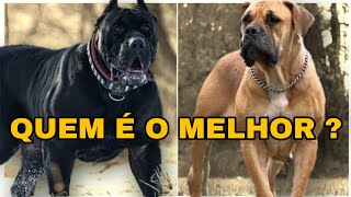 5 Melhores Cães De Guarda do Mundo [upl. by Dobb]