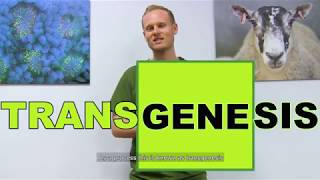 What is transgenesis all about [upl. by Button]