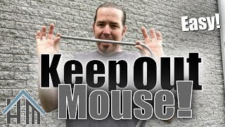 How to keep out mice and other pests How to seal up exterior Easy [upl. by O'Reilly]