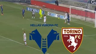 Hellas Verona 23 Torino FC Highlights  Serie A 20242025 [upl. by Llywellyn]