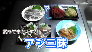 【料理編】釣ったアジを色々な方法で調理して美味しく頂きます [upl. by Sherwood671]