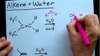 Alkene and Water Reaction  Alcohol [upl. by Aehtrod608]