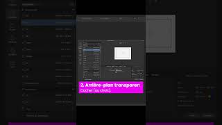 1er Pas sur Affinity Designer 2 [upl. by Scornik]