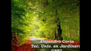 ARBOLES Y MUSICA RELAJANTEwmv [upl. by Ater]