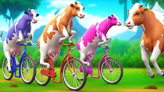 3 Giant Color Cows Race to Victory in a Funny Cycle Challenge Funny Cow Cartoon Videos [upl. by Llenreb]