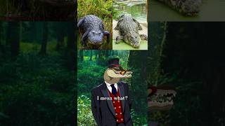 What’s The Difference Between Alligators and Crocodiles [upl. by Nanreik]