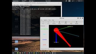 شرح اداة slowloris للهجوم ع المواقع ¦kali linux doss attack [upl. by Asabi]