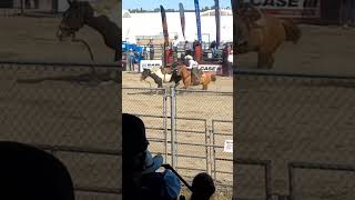 Bucking bronco at International Plowing Match rodeo rodeobuckingbroncoipm2024 [upl. by Johnsson]