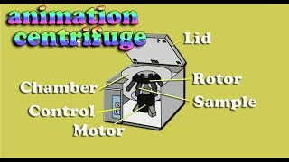 how to works centrifuge basic principle  centrifuge animation [upl. by Daron]