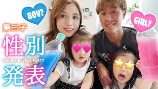 【性別発表】第三子の性別は！？初のジェンダーリビールでサプライズ報告👶 [upl. by Eeliak]