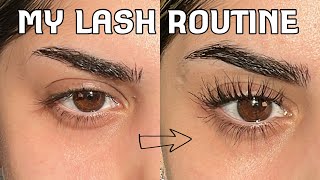 How I keep my straight lashes curled ALL DAY Includes my tiktok viral curling method [upl. by Pengelly]