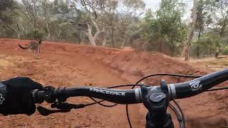 Kangaroo Cuts Off Biker [upl. by Flem]