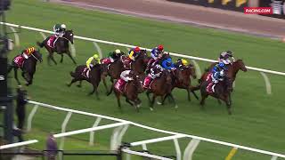 Stylish Secret – Penfolds Victoria Derby Preview – Spring Classics Preview Day Race 6 [upl. by Kong540]