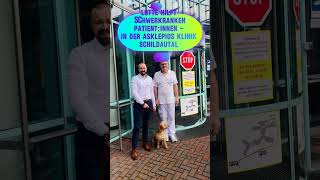 Therapiehund Lotte Vom Welpen zur Begleiterin in der Klinik  Asklepios shorts [upl. by Erodavlas]