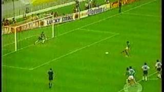 MEXICO VS ARGENTINA FINAL COPA AMERICA 1993 [upl. by Katheryn]