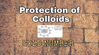 Protection of colloids  Protective Colloids  Gold Number  Surface Chemistry। NCERT [upl. by Ardied]