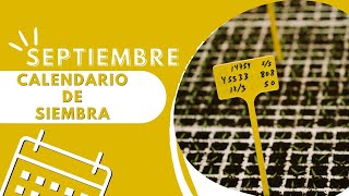 Que SEMBRAR y PLANTAR en SEPTIEMBRE Huerto ➕️ Aromáticas ➕️ Flores Calendario de Siembra [upl. by Liv]