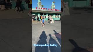 Hooray for Hollywood Studios disneyfamilyvacation disney familyvlog travel hollywoodstudios [upl. by Ahseken]