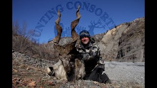 Hunting Tajikistan Marco Polo Sheep and Bukharan Markhor Hunting in Tajikistan 2019 [upl. by Reinar397]