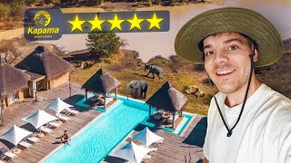 Unglaubliches Hotel mitten in der Wildnis  Luxus Safari in Südafrika 🇿🇦 [upl. by Clea]