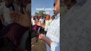 talaja agriculture apmcgondal rajkot streetfood apmc folkdance farming gujarat news [upl. by Nalyac]