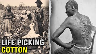 The DISTURBING Life Of A Slave On A Cotton Plantation [upl. by Eiser]