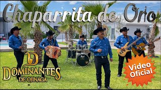 Chaparrita de Oro  Dominantes de Ojinaga  Video Oficial MúsicaNorteña [upl. by Nalorac]