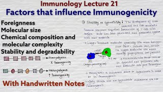 Immunogenicity  Factors that influence immunogenicity  Immunology lecture 21 [upl. by Ahtelat]