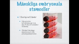 Stamceller och andra cellinjer [upl. by Habeh]