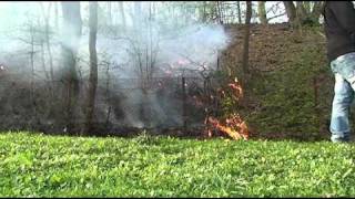 Kinder spielten mit Feuer Feuerwehr Kreuztal verhinderte Schlimmeres [upl. by Athenian]