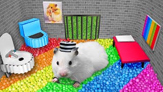 👮Hamster Escapes the Creative Maze for Pets in Real Life 🐹 [upl. by Stent252]