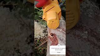 1Crazy fast chainsaw incredible skills2Amazing chainsaw skills shorts3Husqvarna 3120xp [upl. by Antonie]