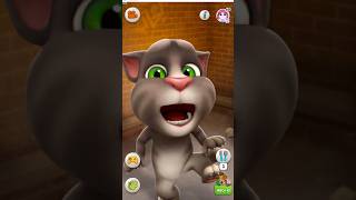 New Cat TALKING TOM CAT 🥪🥮🫑🍇🥓🥨🥝🍟🥦🥬🍏🫒 shorts shortsfeed youtubeshorts talkingtom [upl. by Letsou]