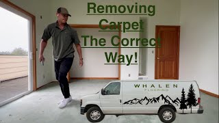 How To Demo Carpet correctly and Get Subfloor Ready for Flooring Installation [upl. by Nauqyt301]