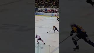 Lausitzer Füchse vs EHC Freiburg 💙💛💪 [upl. by Yelsha]