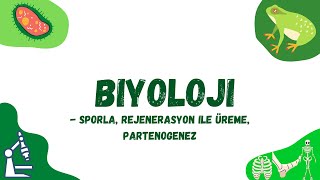 10Sınıf Biyoloji Ünite 1 Sporla Rejenerasyon ile Üreme ve Partenogenez [upl. by Shandeigh]