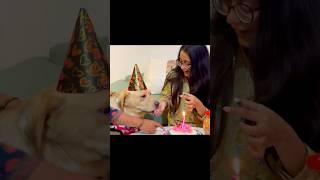 Cutest Birthday Party Ever 😻🐶epic birthday cake cutting 😹pranjalsrivastava27cake birthdaydog [upl. by Nicolle]