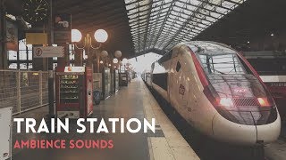 Train Station Sounds Paris France Ambience Effects [upl. by Yerxa]