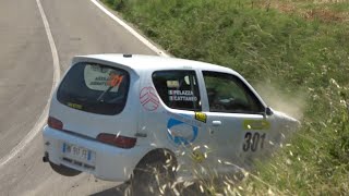 Rally Salsomaggiore Terme 2024 CRASH amp MISTAKES [upl. by Eusebio244]