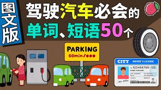 （图文版）驾驶汽车必会的50个单词与短语（简单例句单词翻译巩固练习） 美音 Vocabulary Building in English  English Words [upl. by Tolland]