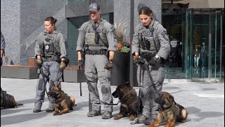 Calgary Police Service Launches 2024 Canine Unit Calendars [upl. by Saxe433]