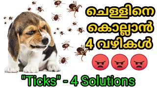 ചെള്ളിനെ കളയാൻ വഴികൾ  4 ticks solutions  Kerala dog training  വളര്‍ത്തു നായയെ പരിശീലിപ്പിക്കാം [upl. by Farmer91]