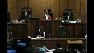 Oscar Pistorius Trial Thursday 3 July 2014 Session 1 [upl. by Atauqal183]