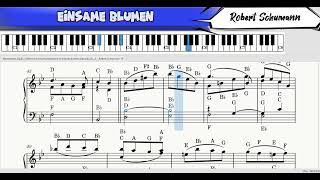 🌏Einsame Blumen  Robert Schumann  Piano Tutorial BMCTHEBEST tutorial pianoklasik [upl. by Ettennod838]