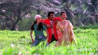 Pavithra Prema movie songs  Goo Gumma Goo song  Balakrishna Laila Roshini [upl. by Adler]