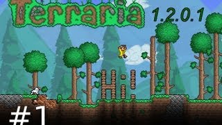 Terraria 1  Neues Update mit Regenmänteln  Lets Play Terraria Half Blind Ger HD [upl. by Gavette995]