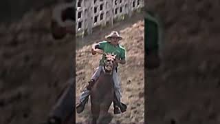 COHETE shortvideo caballos vaqueros horse caballoscorriendo rodeo [upl. by Aurthur744]